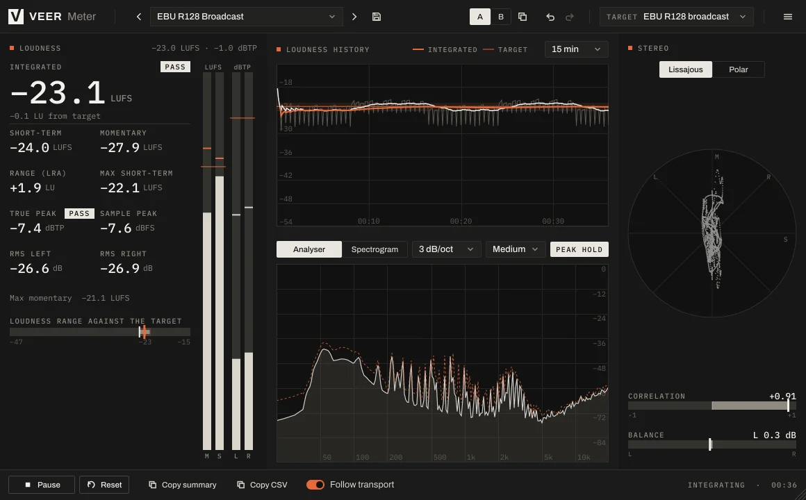 Veer Meter checking a mix against the broadcast target, with every reading marked as passing.
